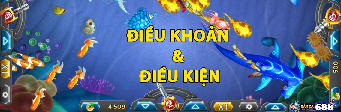 Điều Khoản & Điều Kiện 1 dieu-khoan-dieu-kien-tai-bancadoithuong688