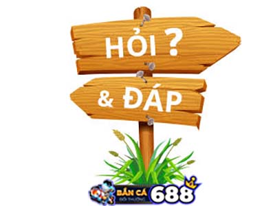 hoi-va-dap-ban-ca-doi-thuong